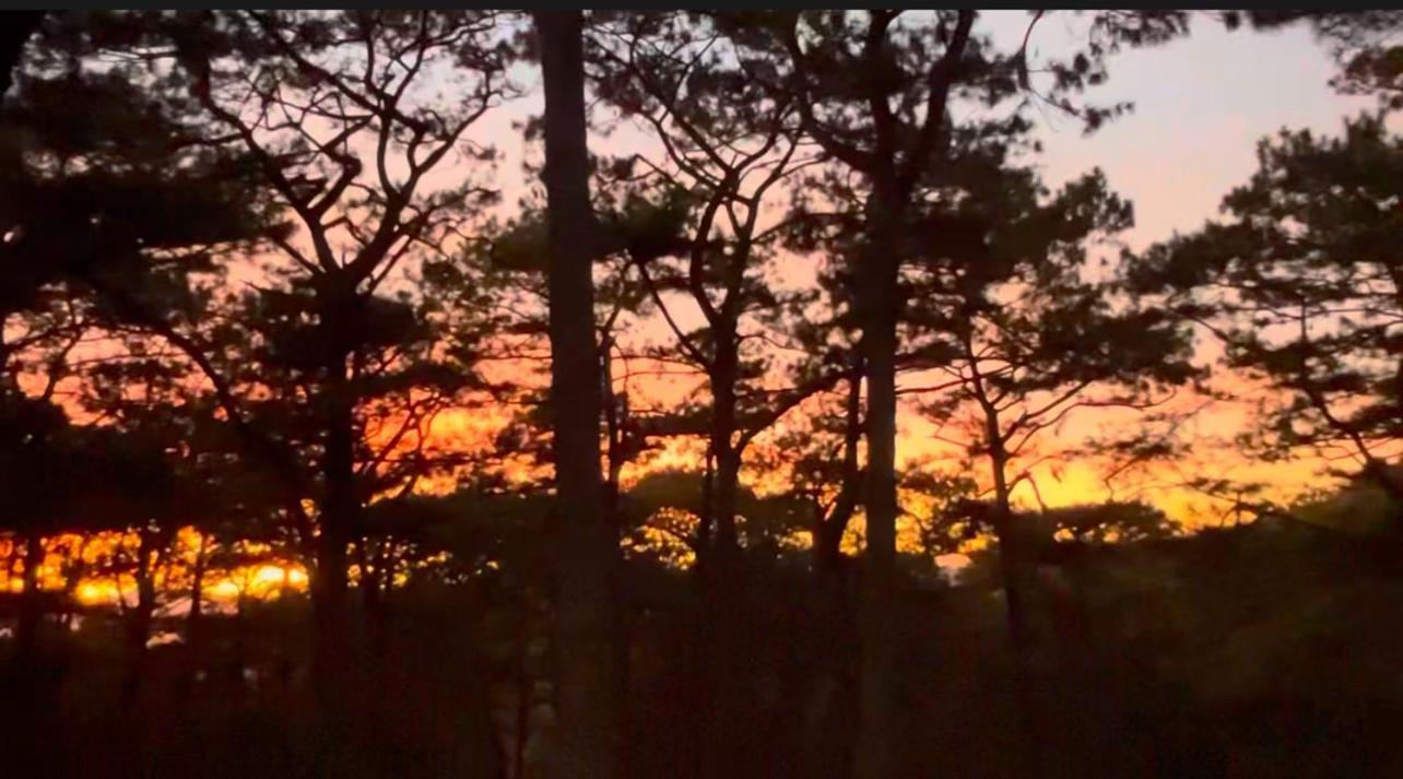 Campjohnhay Forest Estate Baguio City Esterno foto